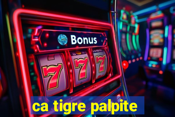 ca tigre palpite