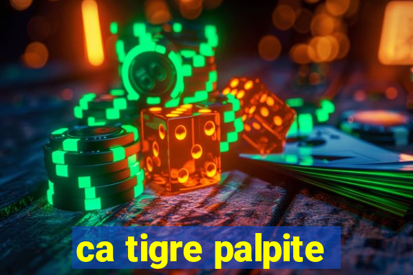 ca tigre palpite