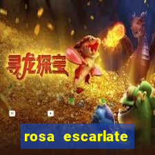 rosa escarlate ragnarok quest