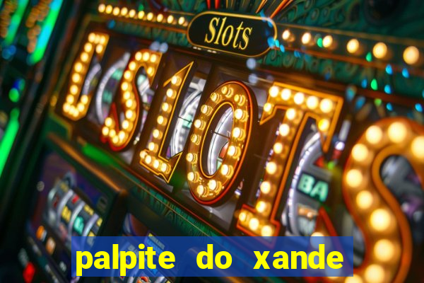 palpite do xande para hoje