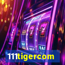 111tigercom