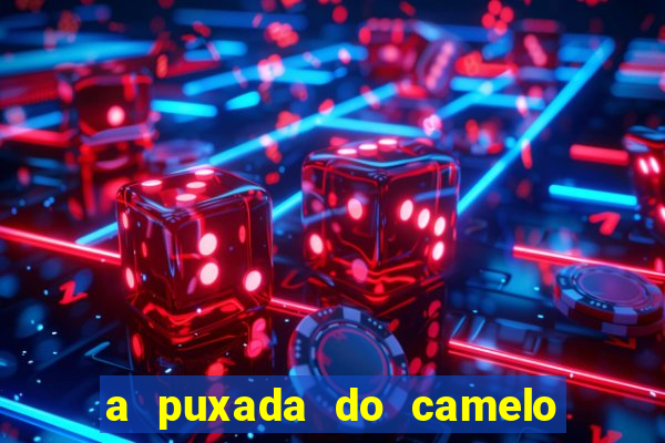 a puxada do camelo no jogo do bicho