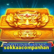 sokkaacompanhantes