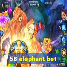 58 elephant bet