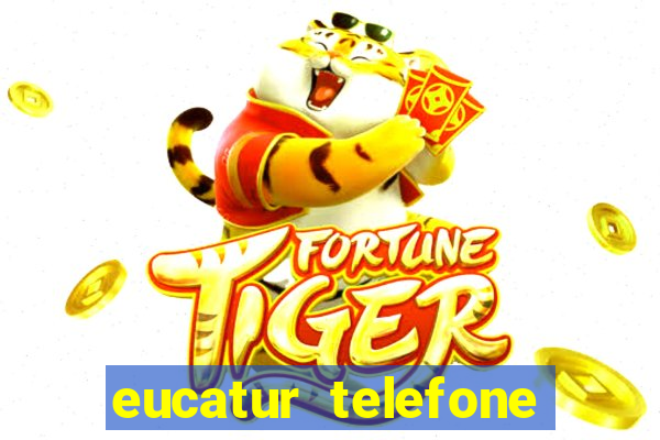 eucatur telefone whatsapp porto velho