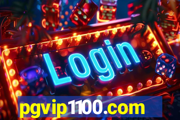 pgvip1100.com