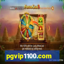 pgvip1100.com