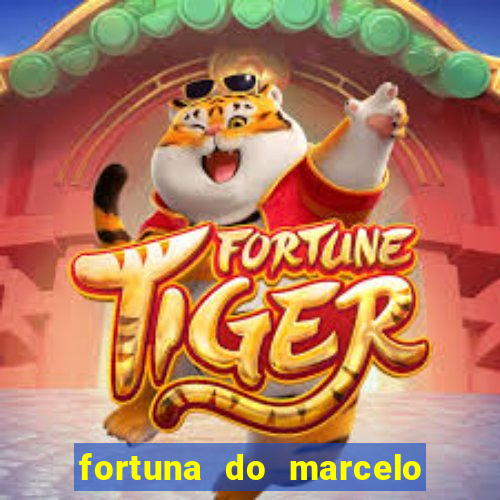 fortuna do marcelo do fluminense