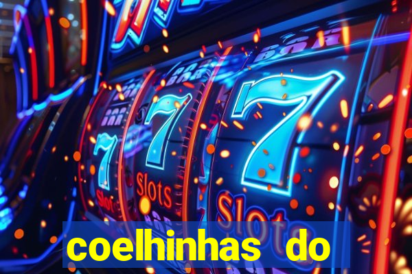 coelhinhas do brasil recife