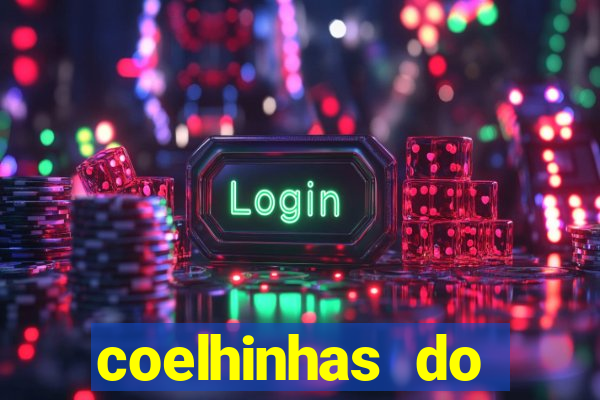 coelhinhas do brasil recife