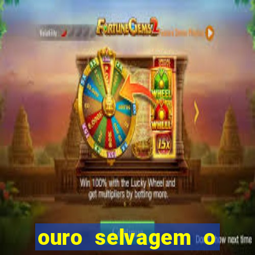 ouro selvagem o que aconteceu na vida