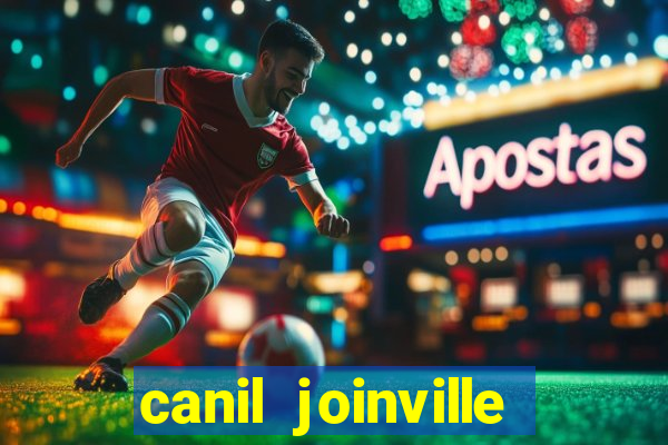 canil joinville vila nova