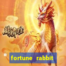 fortune rabbit horario pagante Commercial