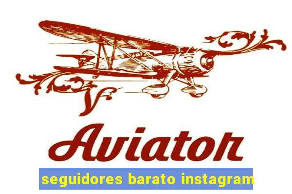 seguidores barato instagram