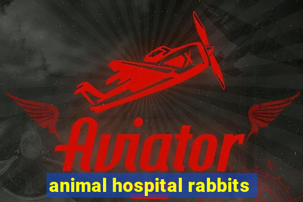 animal hospital rabbits