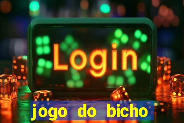 jogo do bicho crash bingo