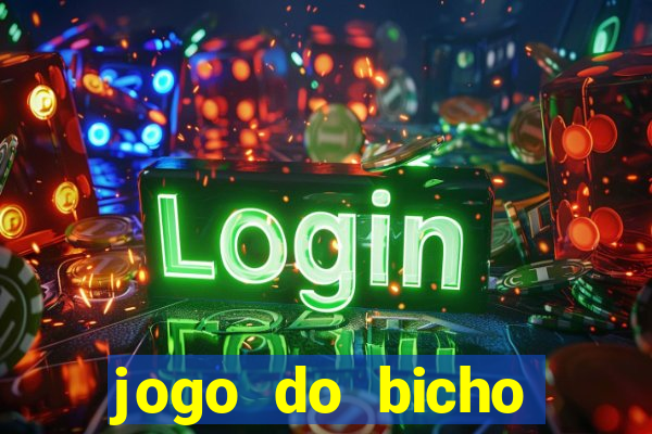 jogo do bicho crash bingo