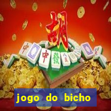 jogo do bicho crash bingo