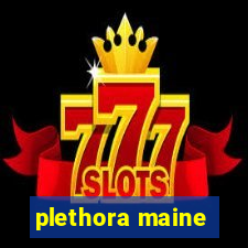 plethora maine