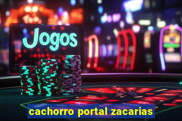 cachorro portal zacarias