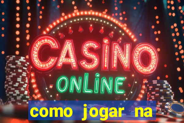 como jogar na seninha online