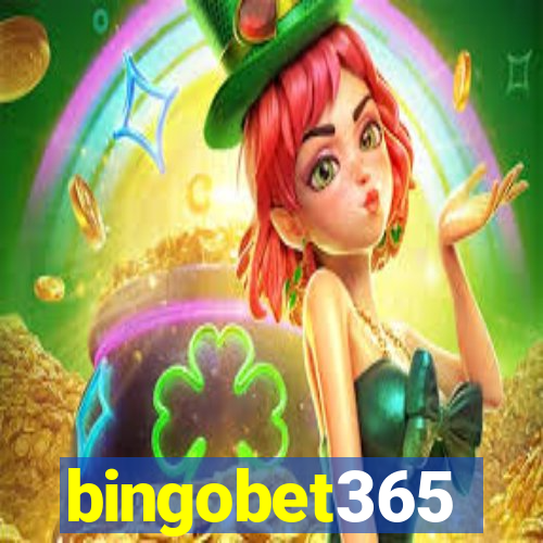 bingobet365