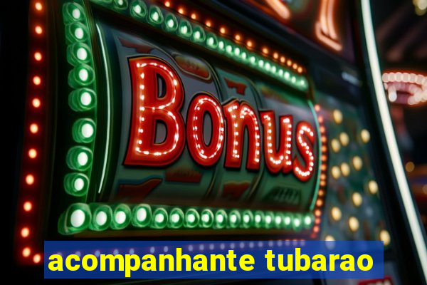 acompanhante tubarao