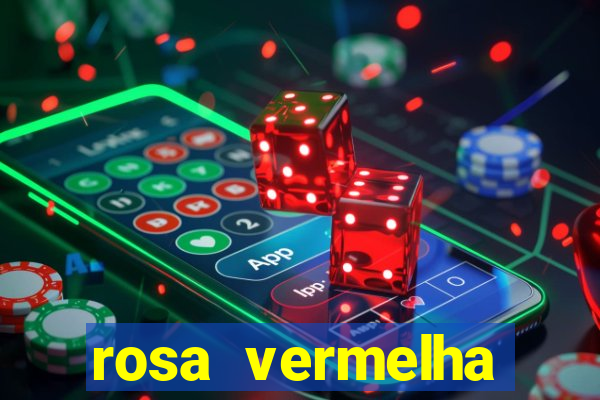 rosa vermelha (letra e cifra)