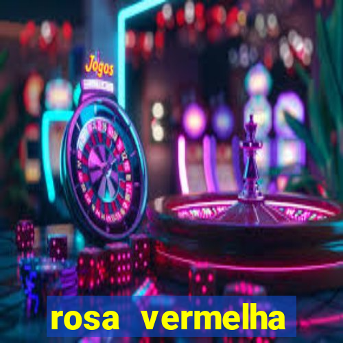 rosa vermelha (letra e cifra)