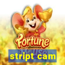 stript cam