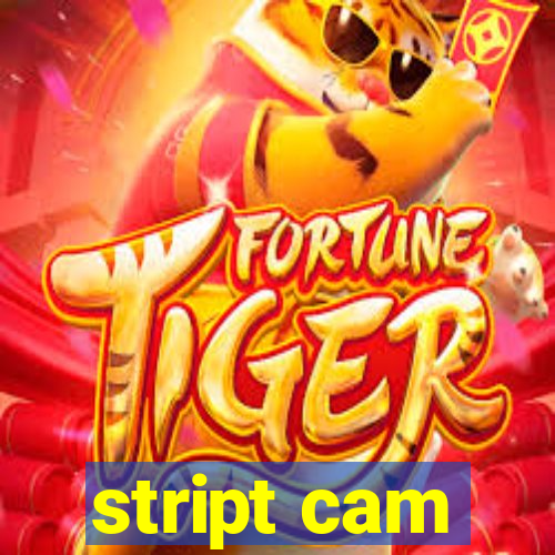 stript cam