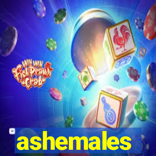 ashemales