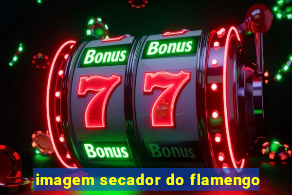 imagem secador do flamengo