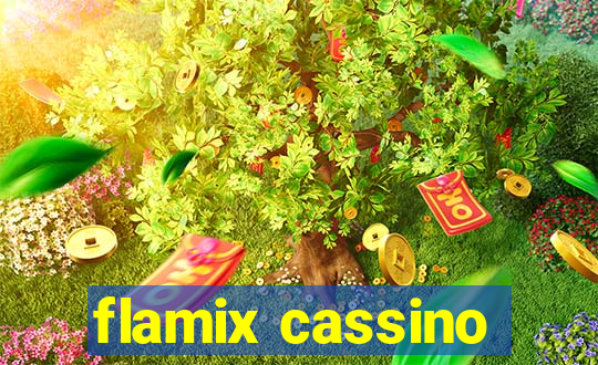 flamix cassino