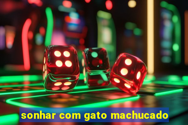 sonhar com gato machucado