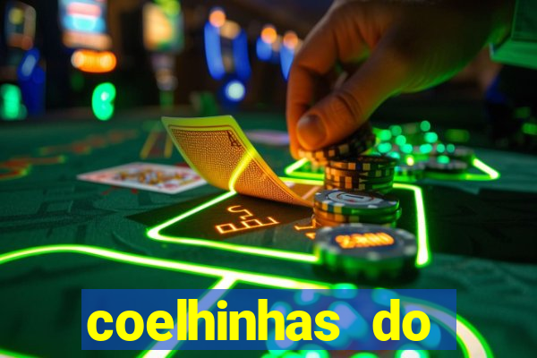 coelhinhas do brasil site