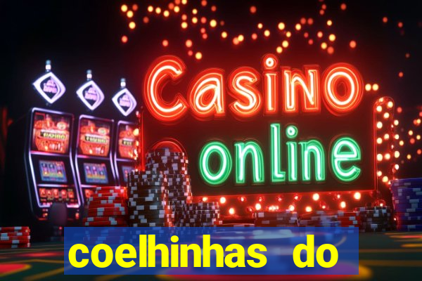 coelhinhas do brasil site