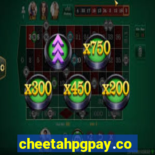 cheetahpgpay.com