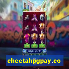 cheetahpgpay.com