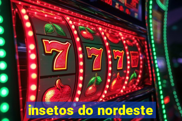 insetos do nordeste