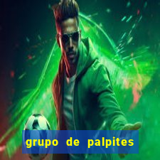 grupo de palpites de futebol whatsapp