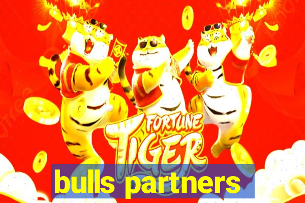 bulls partners