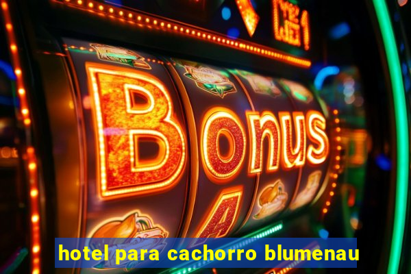 hotel para cachorro blumenau