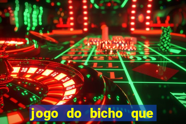 jogo do bicho que paga no pix