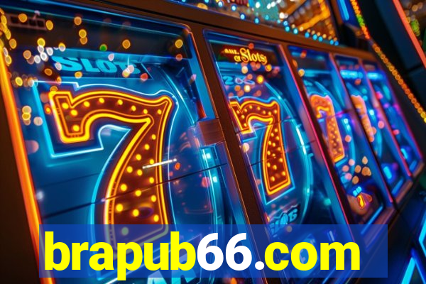 brapub66.com