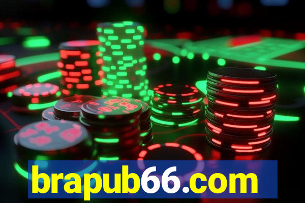 brapub66.com