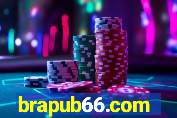 brapub66.com