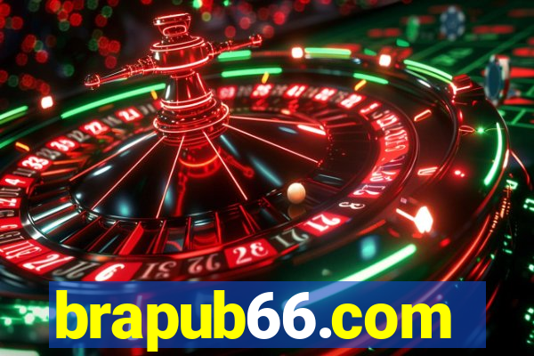 brapub66.com