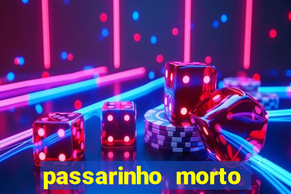 passarinho morto significado espiritual