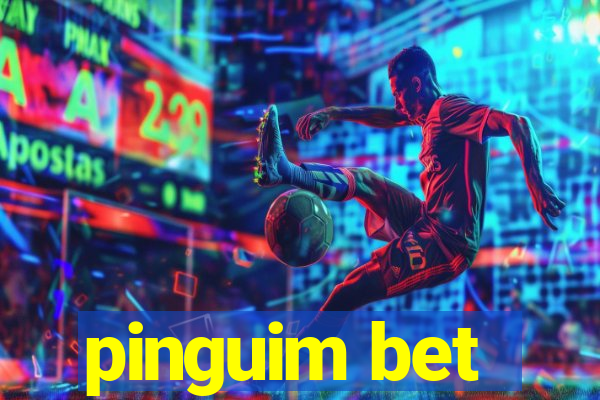 pinguim bet